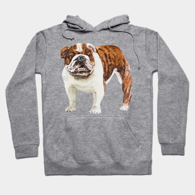 english bulldog Hoodie by VicaVeresk